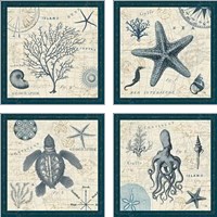 Framed 'Ocean Life 4 Piece Art Print Set' border=