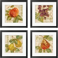 Framed 'Rustic Fruit 4 Piece Framed Art Print Set' border=