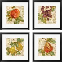 Framed 'Rustic Fruit 4 Piece Framed Art Print Set' border=