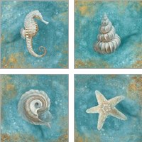 Framed 'Treasures from the Sea 4 Piece Art Print Set' border=