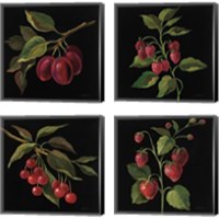 Framed 'Fruit no Words 4 Piece Canvas Print Set' border=