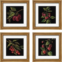 Framed 'Fruit no Words 4 Piece Framed Art Print Set' border=