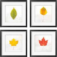 Framed 'Autumn Colors 4 Piece Framed Art Print Set' border=