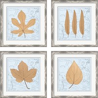 Framed 'Nature's Profile 4 Piece Framed Art Print Set' border=