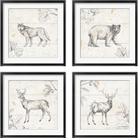 Framed 'Wild and Beautiful 4 Piece Framed Art Print Set' border=