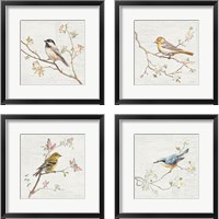 Framed 'Vintage Bird 4 Piece Framed Art Print Set' border=