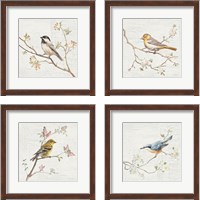 Framed 'Vintage Bird 4 Piece Framed Art Print Set' border=