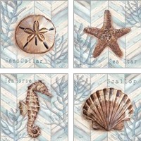 Framed 'Chevron Shell 4 Piece Art Print Set' border=