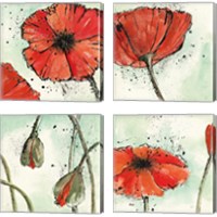 Framed 'Not a California Poppy 4 Piece Canvas Print Set' border=