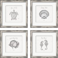 Framed 'Underwater Life 4 Piece Framed Art Print Set' border=