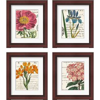 Framed 'Floral Botany 4 Piece Framed Art Print Set' border=