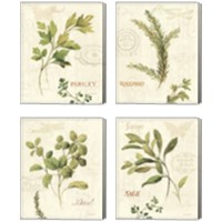 Framed 'Aromatique 4 Piece Canvas Print Set' border=