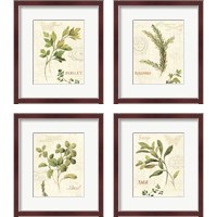 Framed 'Aromatique 4 Piece Framed Art Print Set' border=