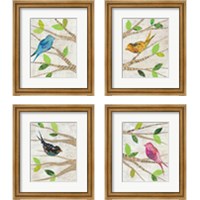 Framed 'Birds in Spring 4 Piece Framed Art Print Set' border=