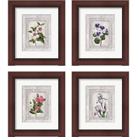 Framed 'Floral 4 Piece Framed Art Print Set' border=