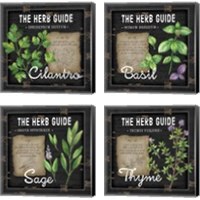 Framed 'Herb Guide 4 Piece Canvas Print Set' border=