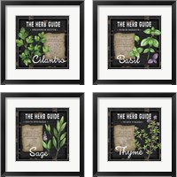 Framed 'Herb Guide 4 Piece Framed Art Print Set' border=