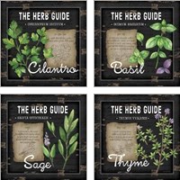 Framed 'Herb Guide 4 Piece Art Print Set' border=