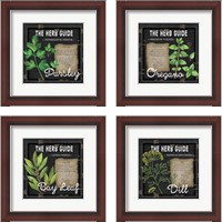 Framed 'Herb Guide 4 Piece Framed Art Print Set' border=