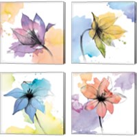 Framed 'Watercolor Graphite Flower 4 Piece Canvas Print Set' border=