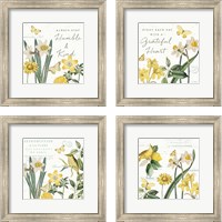 Framed 'Citron Curiosities 4 Piece Framed Art Print Set' border=