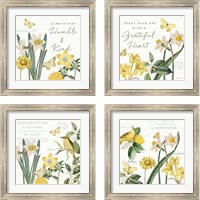 Framed 'Citron Curiosities 4 Piece Framed Art Print Set' border=