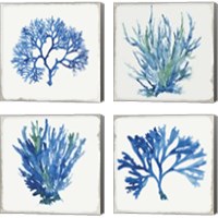 Framed 'Blue and Green Coral  4 Piece Canvas Print Set' border=
