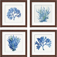 Framed 'Blue and Green Coral  4 Piece Framed Art Print Set' border=