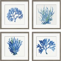 Framed Blue and Green Coral  4 Piece Framed Art Print Set