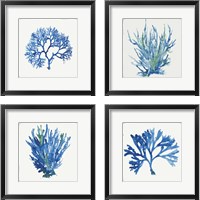 Framed 'Blue and Green Coral  4 Piece Framed Art Print Set' border=