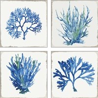 Framed 'Blue and Green Coral  4 Piece Art Print Set' border=