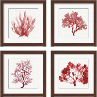 Framed 'Red Coral 4 Piece Framed Art Print Set' border=