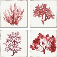 Framed 'Red Coral 4 Piece Art Print Set' border=