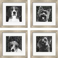 Framed 'BW Dog 4 Piece Framed Art Print Set' border=