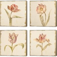 Framed 'Vintage Tulip 4 Piece Canvas Print Set' border=