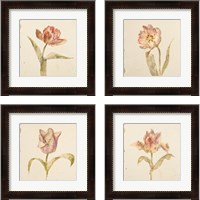 Framed 'Vintage Tulip 4 Piece Framed Art Print Set' border=