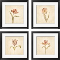 Framed Tulip on White 4 Piece Framed Art Print Set