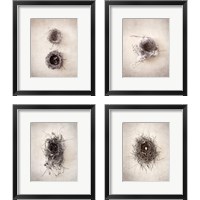 Framed 'Nest 4 Piece Framed Art Print Set' border=