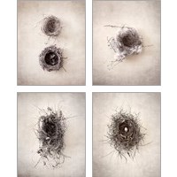 Framed 'Nest 4 Piece Art Print Set' border=