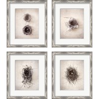 Framed 'Nest 4 Piece Framed Art Print Set' border=