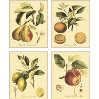 Framed 'Petite Tuscan Fruits 4 Piece Art Print Set' border=