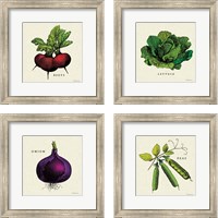 Framed 'Linen Vegetable 4 Piece Framed Art Print Set' border=