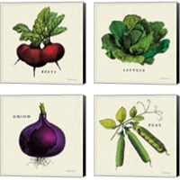 Framed 'Linen Vegetable 4 Piece Canvas Print Set' border=