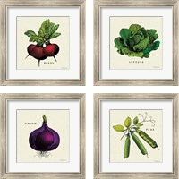 Framed 'Linen Vegetable 4 Piece Framed Art Print Set' border=