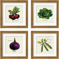 Framed 'Linen Vegetable 4 Piece Framed Art Print Set' border=