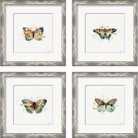 Framed 'Thoughtful Butterflies 4 Piece Framed Art Print Set' border=