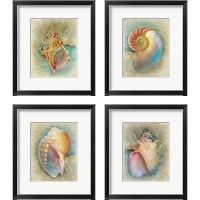 Framed 'Aquatica  4 Piece Framed Art Print Set' border=