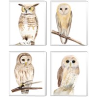 Framed 'Hoo Dis  4 Piece Canvas Print Set' border=