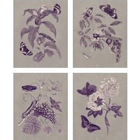 Framed 'Nature Study in Plum & Taupe 4 Piece Art Print Set' border=