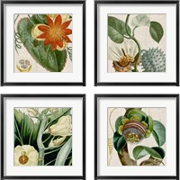 Framed 'Cropped Turpin Tropicals 4 Piece Framed Art Print Set' border=